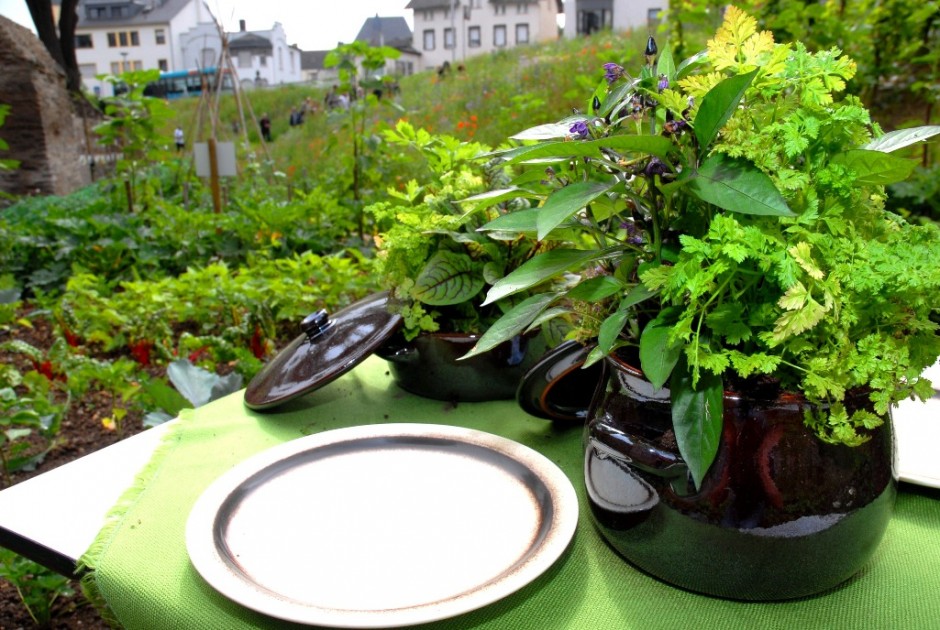 Frische Kräuter in Andernach - Copyright: Christoph Maurer, Stadtverwaltung Andernach Frische Kräuter in Andernach - Copyright: Christoph Maurer, Stadtverwaltung Andernach