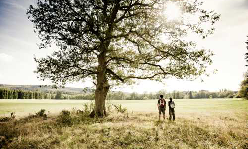 Glashütter Wiesen - Copyright: Naturpark Soonwald-Nahe Glashütter Wiesen - Copyright: Naturpark Soonwald-Nahe