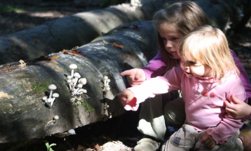 IMG 0318 verkleinert „Früh übt sich“   VDN startet Projekt „Naturpark Kindergärten“