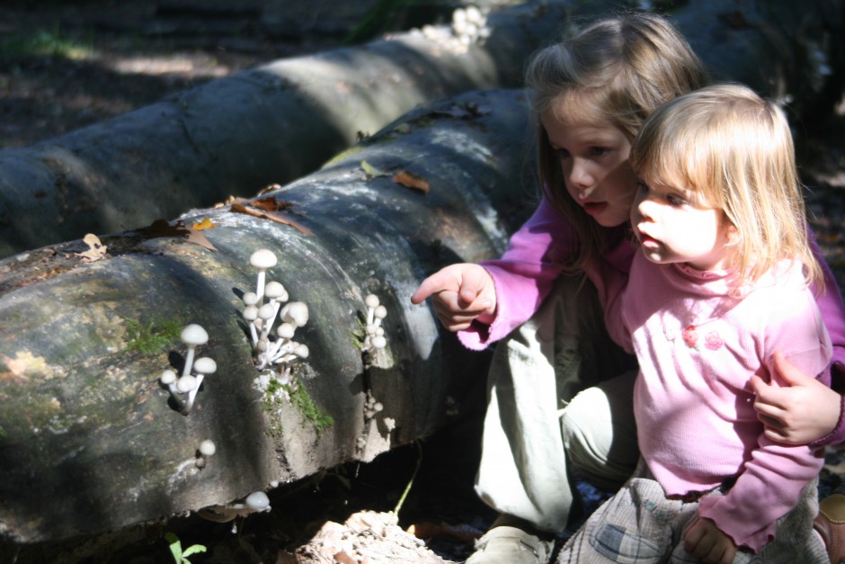 Auch für Kinder kann das Pilze sammeln recht spannend sein - Copyright: J.Liesen