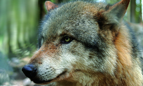 © Biohotel Kenners LandLust