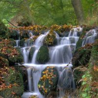 Kleiner Wasserfall im Quellbereich der Lutter bei Königslutter © Naturpark Elm-Lappwald