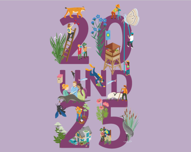 Logo der Jubiläumsveranstaltung. © NNL