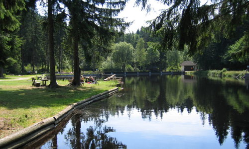 Naturmoorbad im Naturpark Fichtelgebirge - Copyright: VDN/Ursula Meyer Naturmoorbad im Naturpark Fichtelgebirge - Copyright: VDN/Ursula Meyer