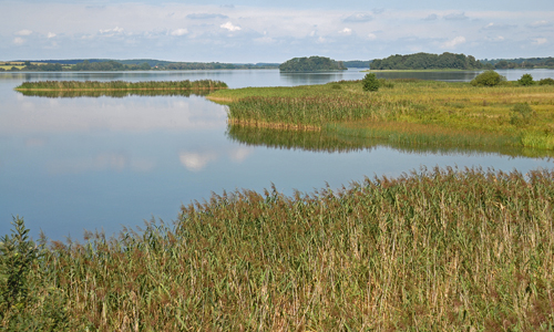 Südufer Krakower Obersee, Blick vom Beobachtungsturm "Seeadler" - Copyright : Naturpark Nossentiner/Schwinzer Heide /Jörg Gast Südufer Krakower Obersee, Blick vom Beobachtungsturm "Seeadler" - Copyright : Naturpark Nossentiner/Schwinzer Heide /Jörg Gast