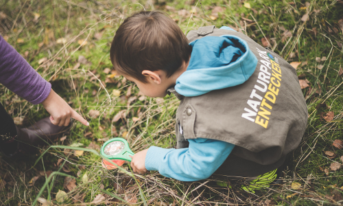 © Naturpark Fläming e V David Ludley