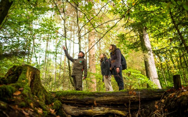 Naturparkführer mit 2 Wanderinnen im Wald - eine geführte Wanderung ist immer wieder ein tolles Erlebnis. © Naturpark Arnsberger Wald / Daniel Schröder