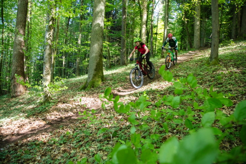 Der Naturpark Spessart bietet zahlreiche attraktive Trails und Touren für Radfahrer und Mountainbiker (Foto: Spessart-Mainland Holger Leue)