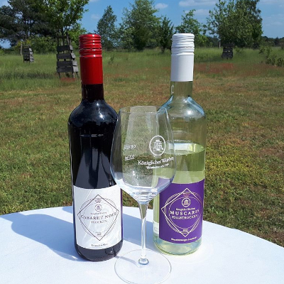 Wein aus Gräbendorf © Carsten Preuß