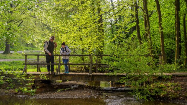 Eine Rangerführung im Naturpark Arnsberger Wald. © Klaus-Peter Kappest