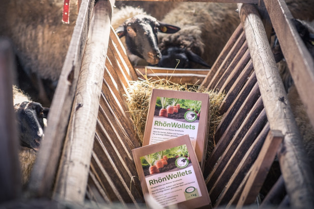 Rhön Wollets. © Sebastian Mannert