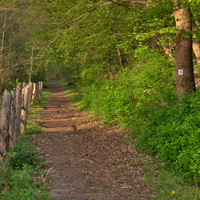 Der Schlaubetalwanderweg