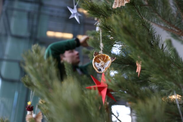 Der Baum wird mit selbst gebasteltem Schmuck der Naturpark-Schule Schönow festlich geschmückt. © Hans-Dieter Hartwig
