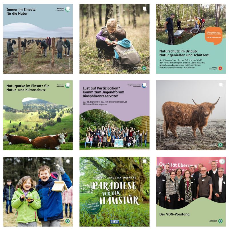 Screenshot des NNL-Instagram-Kanals