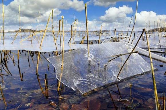 Das Siegerfoto "Schwebendes Eis" von Karl Golhamer zeigt ein seltenes Naturschauspiel aus dem nördlichsten Naturpark Deutschlands, dem Naturpark Schlei an der Ostseeküste.