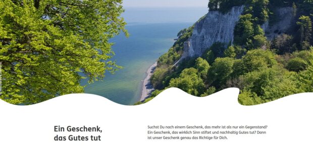 Ein Bild der Kreidefelsen an der Ostseeküste mit Wald und Meer, dazu die Aufforderung im Text, mit einer Geschenkspende Gutes zu tun. © Screenshot NNL