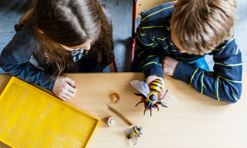 Umweltaktionstage 2018 Naturparkschule Zuesch © VDN / Carolin Lauer 
