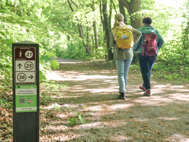 Wanderkontenpunkte und Themenwege weisen die Wege durch die Vielfalt der charakteristischen Landschaften. © Naturpark Bourtanger Moor – Veenland