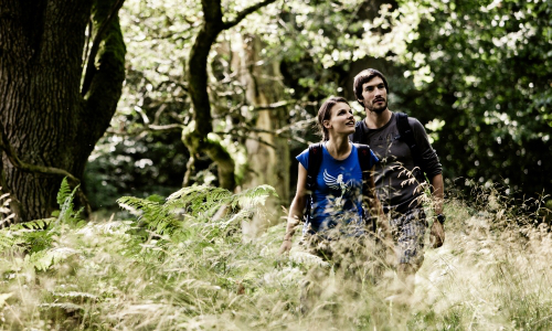 Wandern im Soonwald - Copyright: Naturpark Soonwald-Nahe Wandern im Soonwald - Copyright: Naturpark Soonwald-Nahe