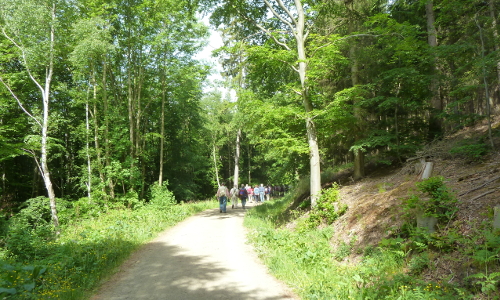 Wanderung Linkeb Naturpark Harz