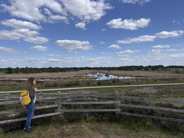 Weite Blicke über die Moorlandschaft bietet der Aussichtshügel im Dalum-Wietmarscher Moor – ein Ziel für Radler und Wanderer. © Naturpark Bourtanger Moor - Veenland