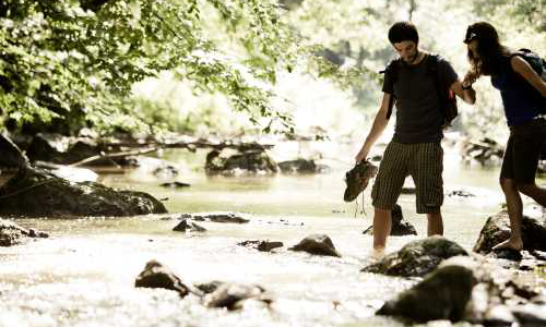 Zahlreiche Bäche durchfließen den Naturpark - Copyright: Naturpark Soonwald-Nahe Zahlreiche Bäche durchfließen den Naturpark - Copyright: Naturpark Soonwald-Nahe