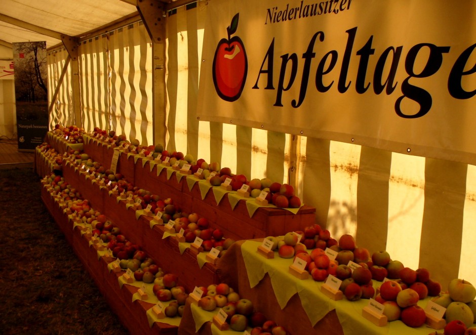 Der Döllinger Apfeltag  2012. Im letzten Jahr konnten die Besucher über 80 alte und neue Apfelsorten staunen - Copyright: VDN/Peter Meyer
