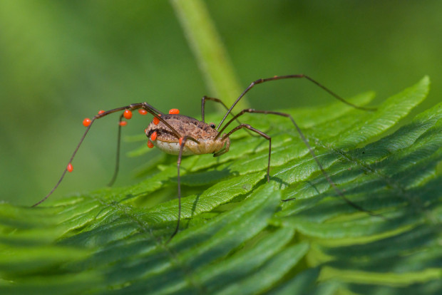 "Hallo Taxi" © VDN-Fotoportal/S. Wunn