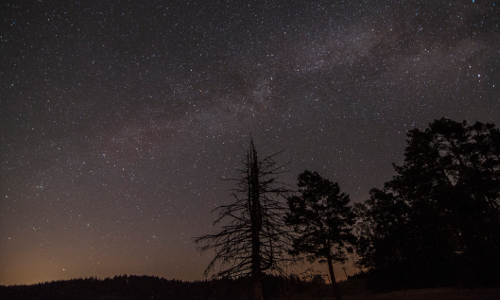dsc0778 raw beitrag „Sternenvielfalt“ – Den Winterhimmel in Naturparken erleben