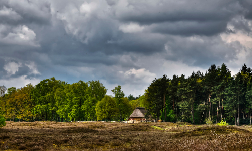 Naturpark Wildeshauser Geest