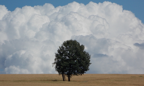 'Himmel und Erde' Copyright: VDN/Ralf Köhler