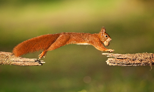 Copyright: VDN/Matze Copyright: VDN/Matze