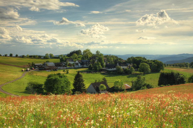 Bildtitel: "Wildewiese"- Copyright: VDN/Grazyna Böhm