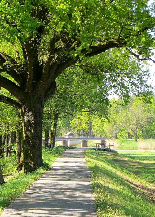 Elsterradweg Elsterradweg © VDN/pit