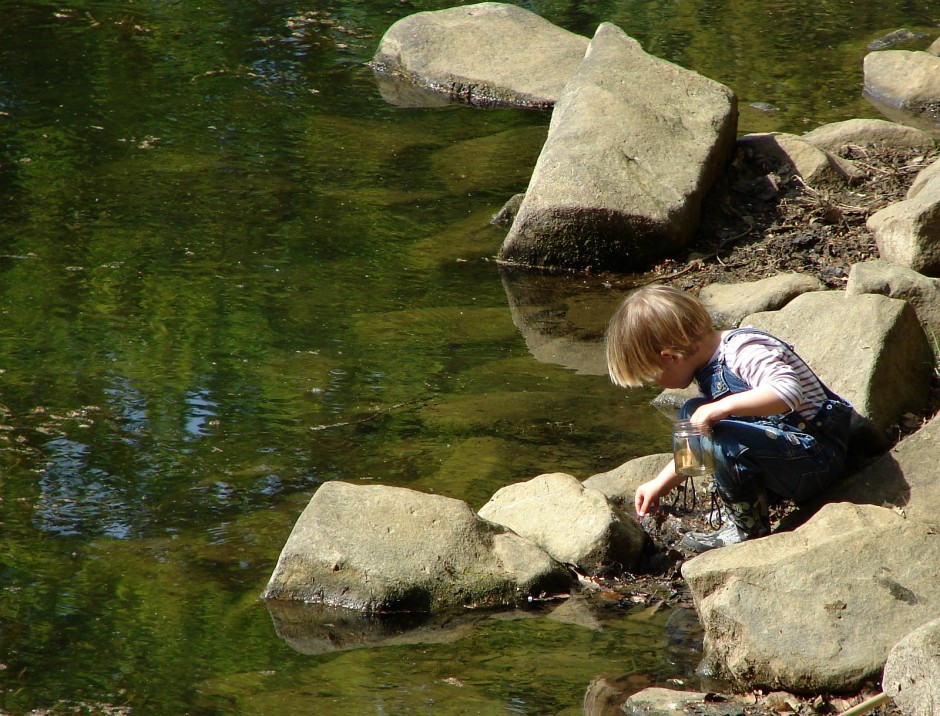 Exkursionen ins Freie bieten den Kindern die Möglichkeit die Natur aktiv zu entdecken - Copyright: VDN/Johannes Brenner