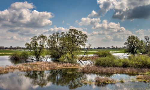 Landschaftsspiegelung © VDN-Fotoprtal / Pitti