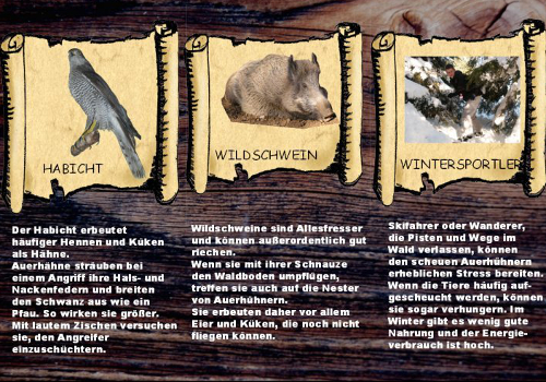 Tafel 10© Naturparkschutzzentrum Südschwarzwald