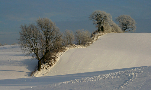 Winterlandschaft © VDN/Fotoportal Karin Sass