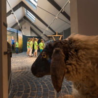 Öffentliche Führung im Haus der Langen Rhön