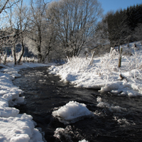 04. Dezember: 4 Jahreszeiten im Ebbegebirge – Der Winter