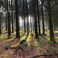 "Immer wieder sonntags" Überraschungstour ab Oberursel